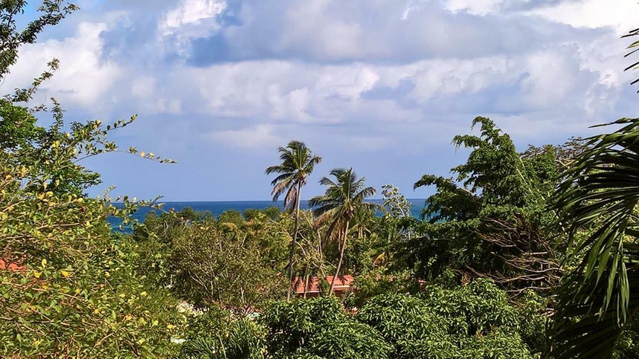 Villa Kaz Maracudja Deshaies Esterno foto
